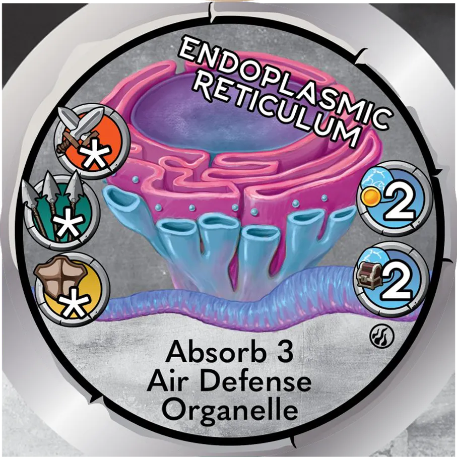 Endoplasmic Reticulum