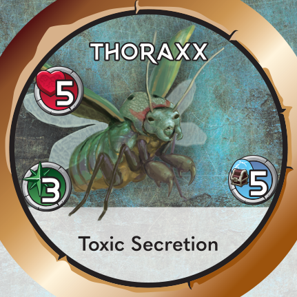 Thorax